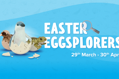 Come EGGsploring with us!