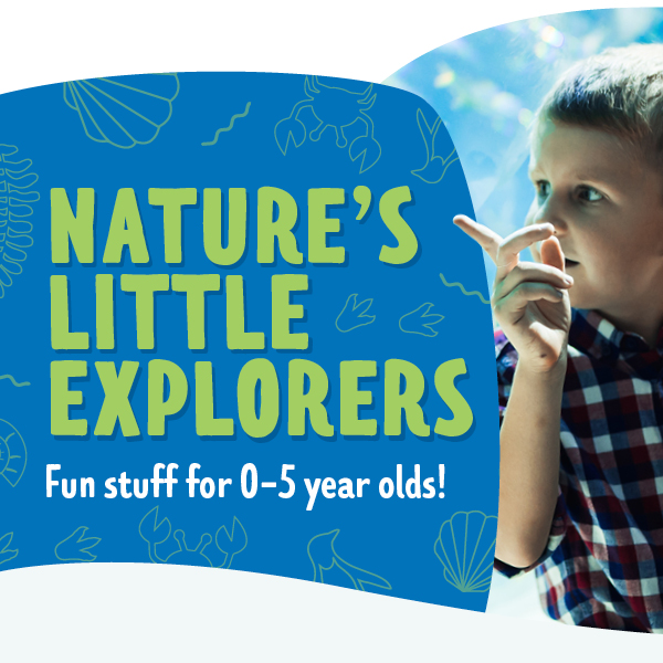 Nature's Little Explorers